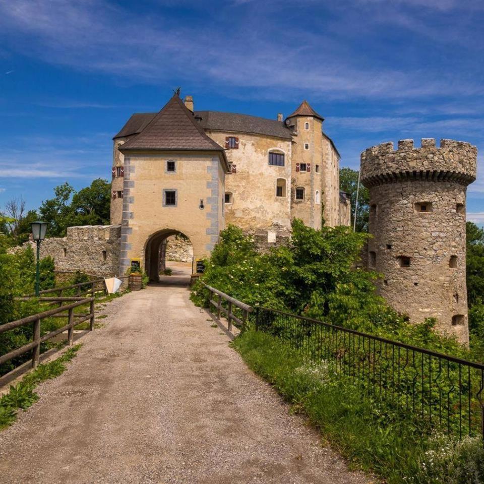 Hotel Burg Plankenstein Texing Esterno foto