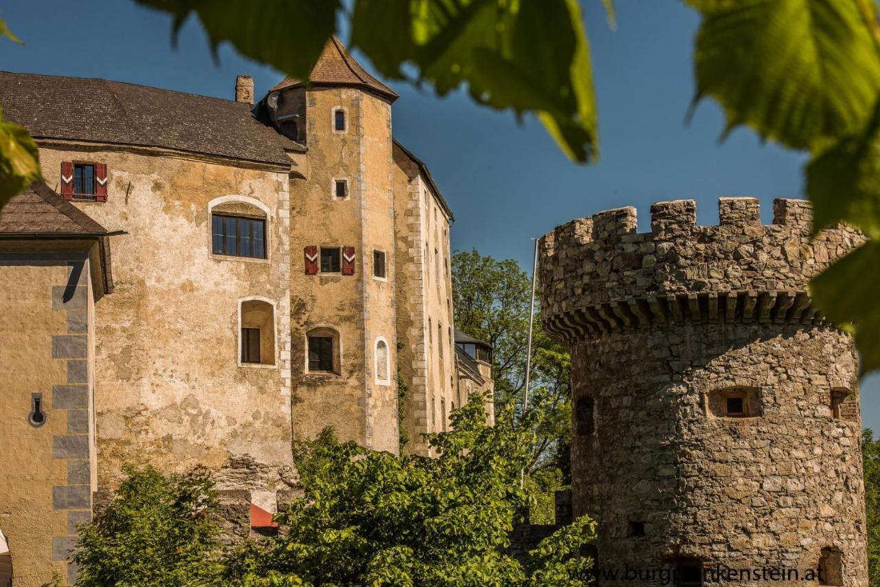 Hotel Burg Plankenstein Texing Esterno foto