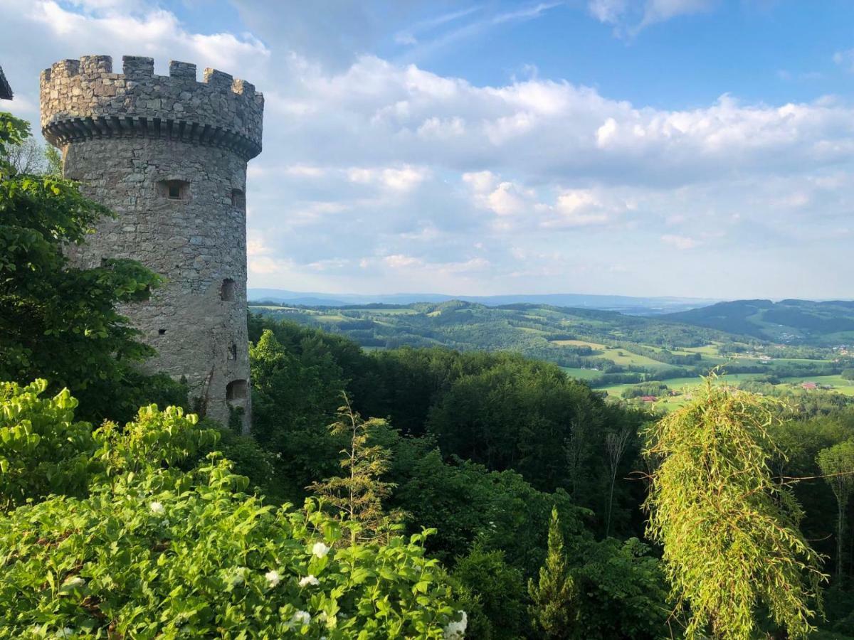 Hotel Burg Plankenstein Texing Esterno foto