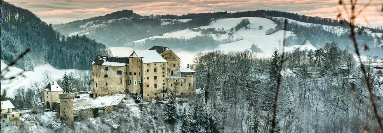 Hotel Burg Plankenstein Texing Esterno foto